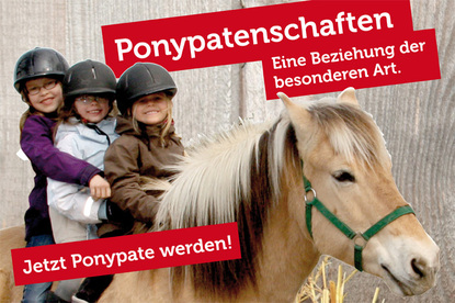 Ponypatenschaft